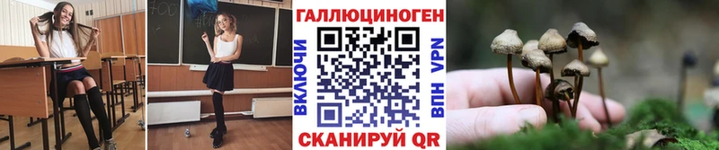 Галлюциногенные грибы Cubensis  Купить где  Алатырь 
